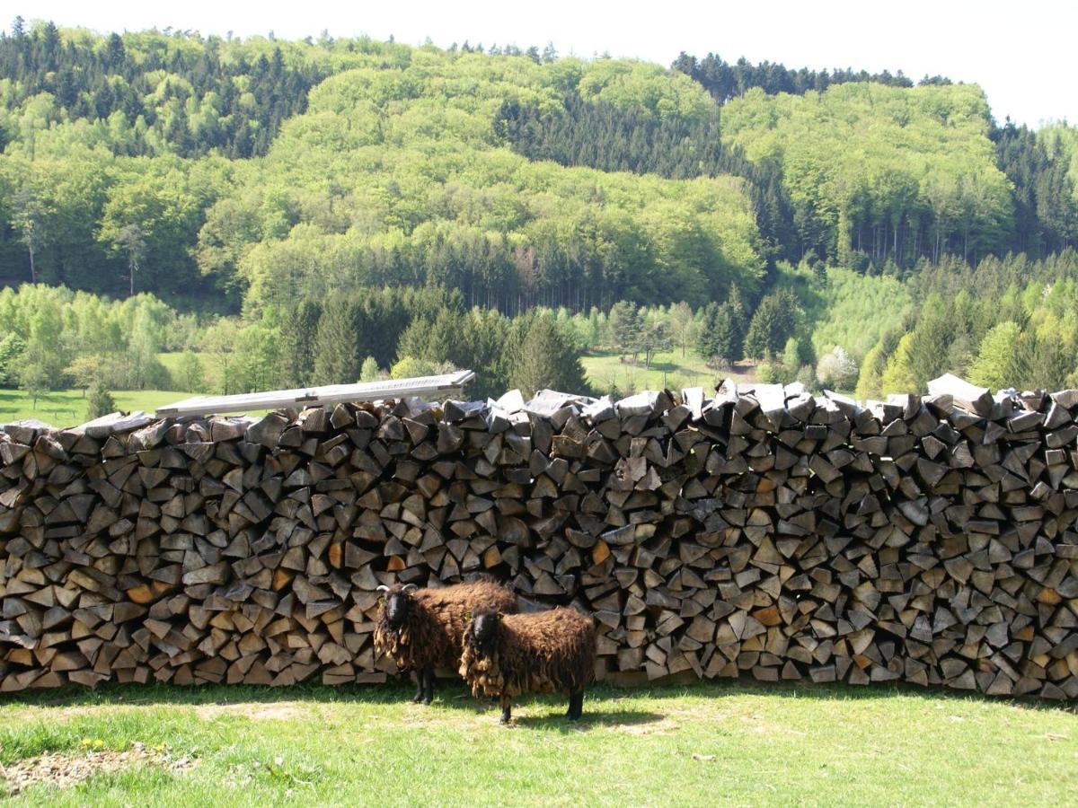 Cosy Holiday Home With Garden In Walscheid 外观 照片