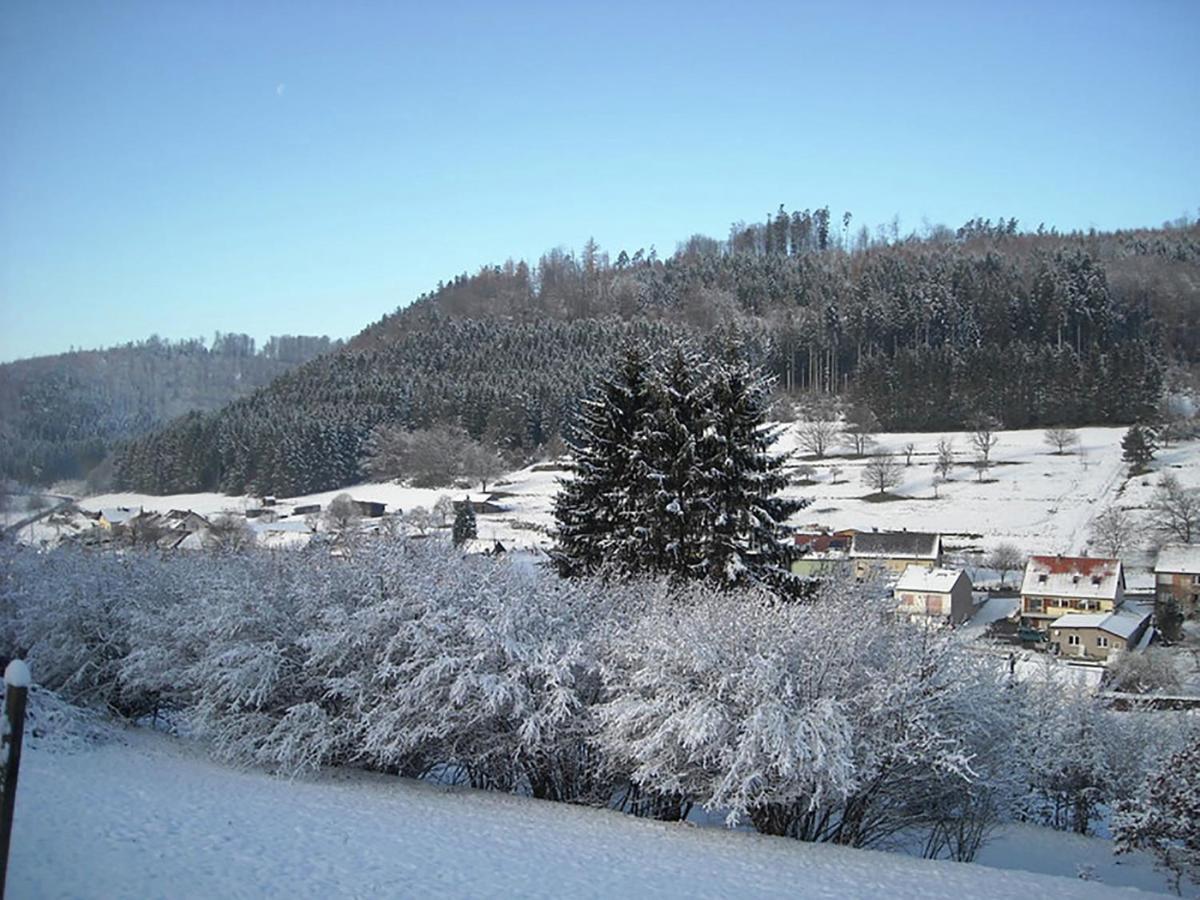 Cosy Holiday Home With Garden In Walscheid 外观 照片