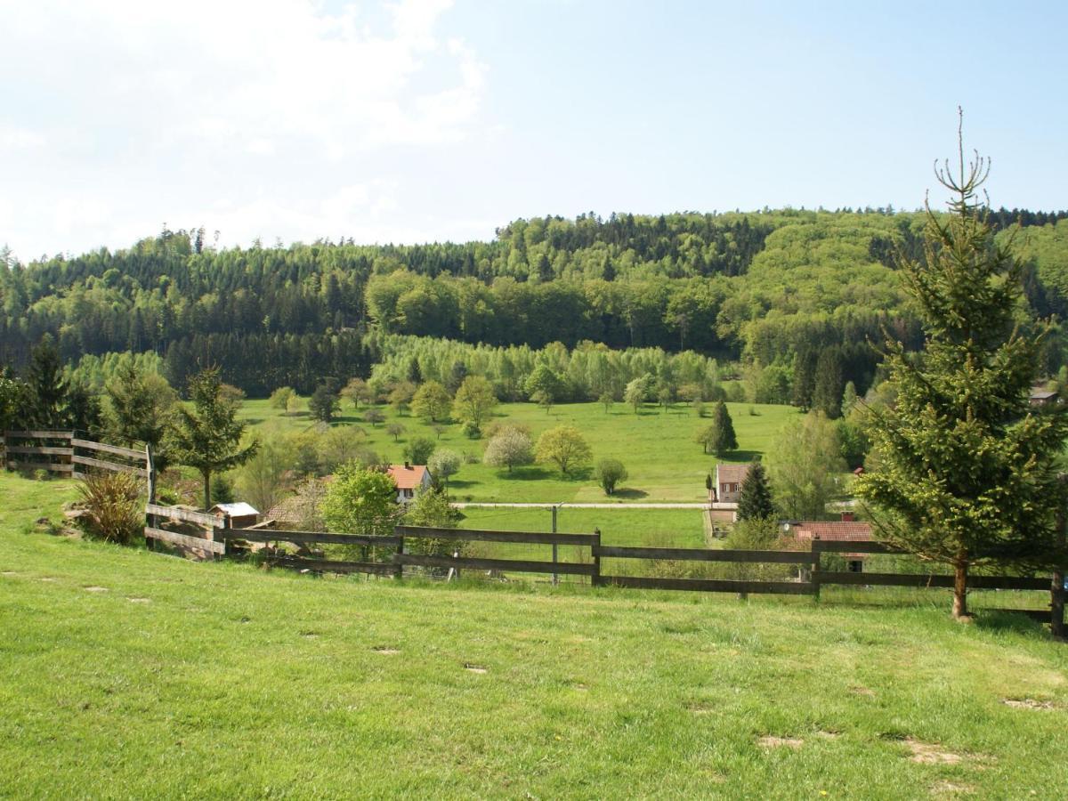 Cosy Holiday Home With Garden In Walscheid 外观 照片